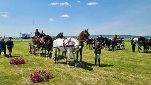 Concurenți din șapte țări și peste 160 de cai se întrec în weekend pe Pășunea Berkeș din Oșorhei