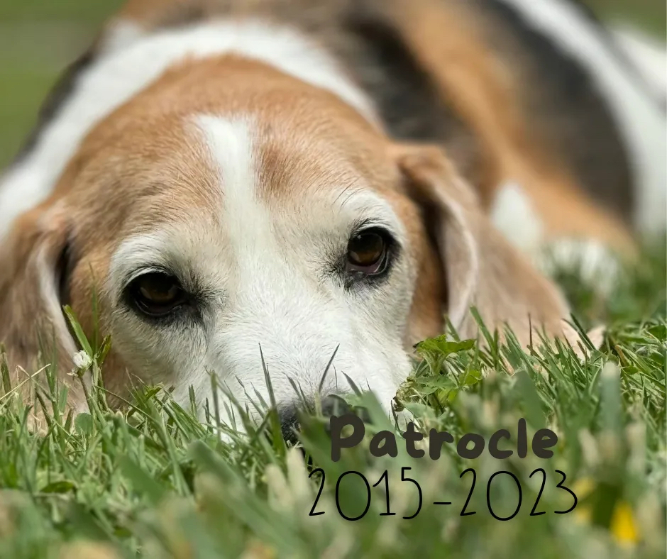 Monument funerar pentru cel mai bun prieten