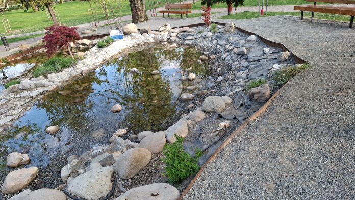 zona lacului din Parcul Petofi a fost vandalizată